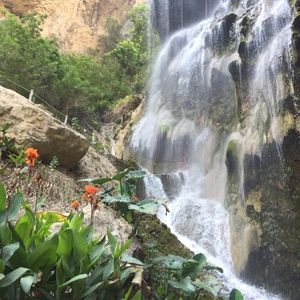 Meet your Posher, Monica